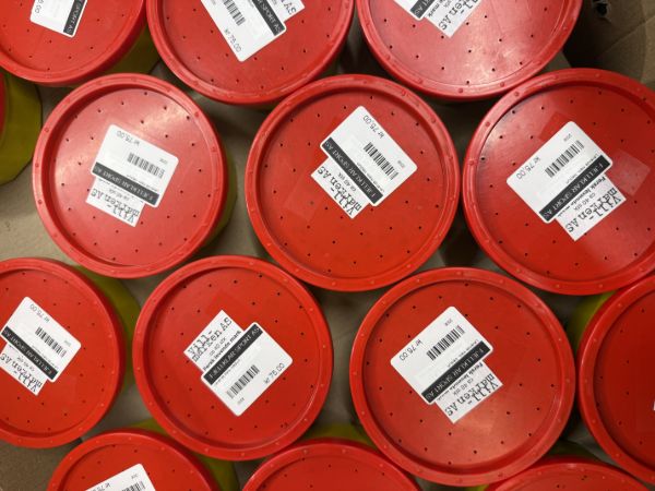 Bilde av Vill-Marken Levende mark- Medium 